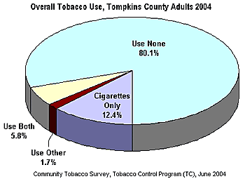 Pie chart: tobacco use by Tompkins County adults, 2004