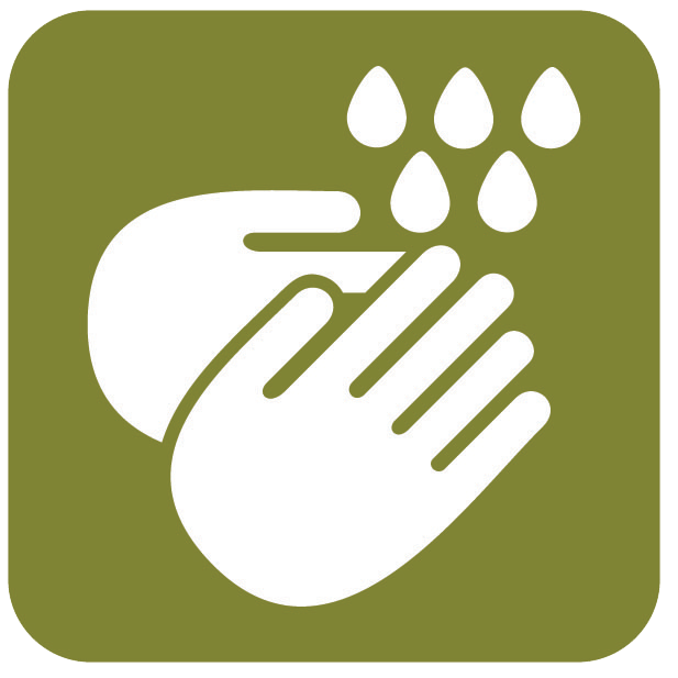 Hand Hygiene icon