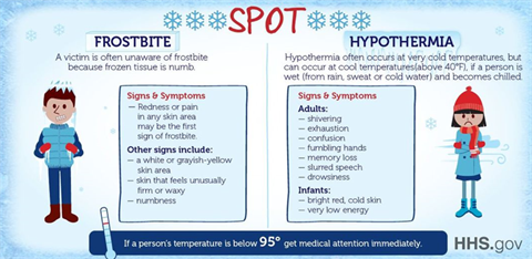 infographic depicting warning signs of hypothermia and frostbite