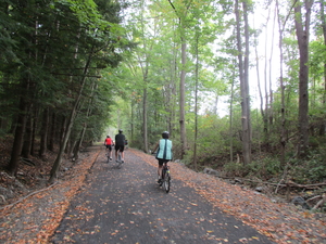 People on bikes on a paved trail in the woods