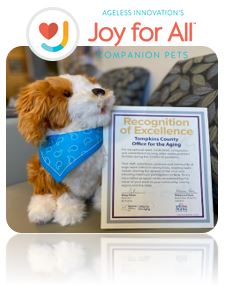 Stuffed dog with a certificate of recognition