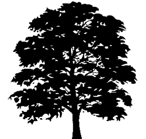 Black Environmental Management Council tree logo