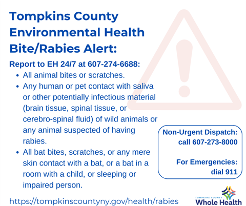 Tompkins County Environmental Health Bite/Rabies Alert: Report to EH 24/7 at 607-274-6688: all animal bites or scratches, or suspicious encounters with potentially rabid animals. For emergencies, dial 911.