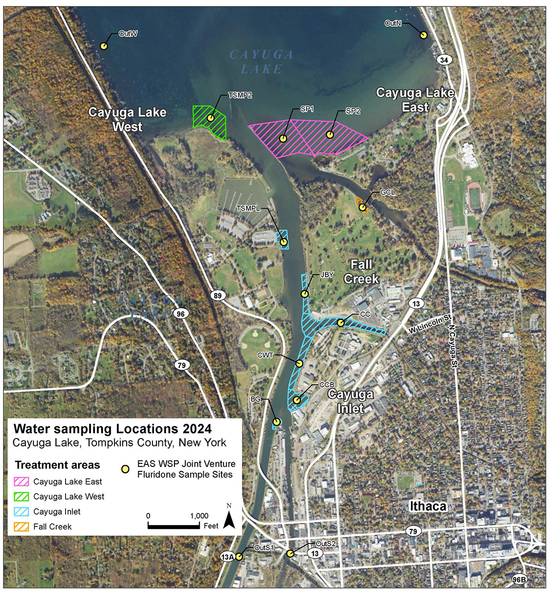 2024 hydrilla treatment sites on an satellite photo of the Cayuga Lake inlet area