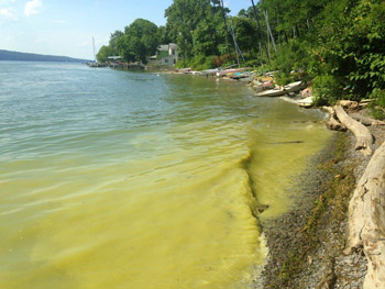 Cayuga Lake (Finger Lakes Land Trust)