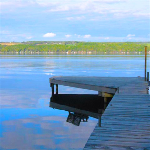 Lake view with dock