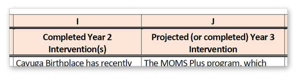 A screen snip of the top of the CHI matrix grid taken from a pdf