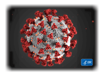 Coronavirus image from the CDC