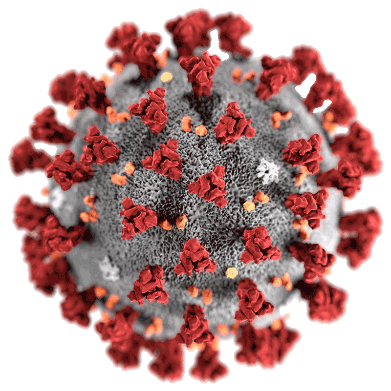 Image of a coronavirus particle