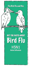 Cover of NYSDOH brochure about Avian flu