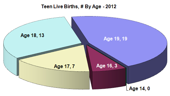 Pie chart Teen births 2012