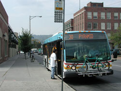 decorative picture of bus